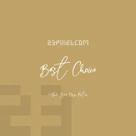 Best Choice